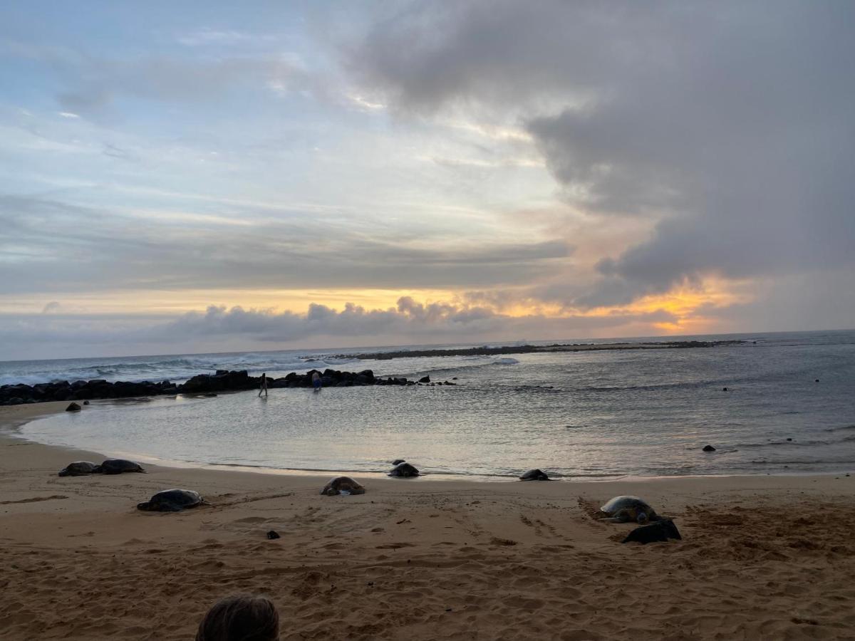Puu Poa Ocean Bluff Condo, Incredible Views, Walk To Beaches, Pool & Tennis Princeville Esterno foto